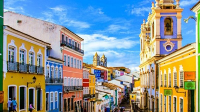 24.334.281 ltda porto seguro