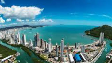 46.496.522 ltda balneario de picarras | Fi Sindico Profissional: Providing Administrative Support and Office Services