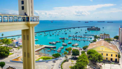 47.884.328 ltda marina schettini – cirurgia-dentista salvador