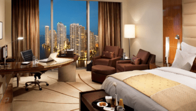 maafushi naufragio y esnórquel con tiburones nodriza con observación de delfines