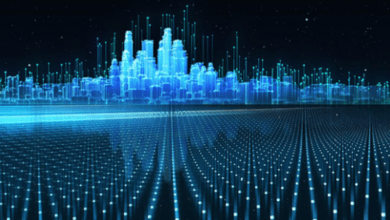  Exploring the Importance of “sinocomp3”