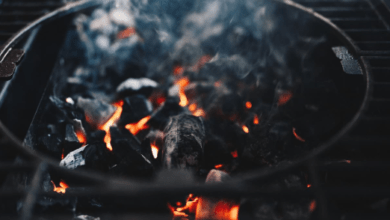 The Mystery Behind “2092996221”: Cracking the Code of Numbers