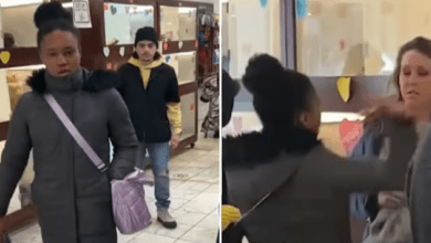 Violent Incident in NYC Pet Store Sparks Outrage on Social Media