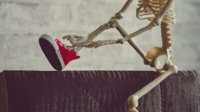 the 1982 movie poltergeist used real skeletons as – tymoff the 1982 movie poltergeist used real skeletons as – tymoff