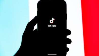 Discover geekzilla tips tiktok Success 2024