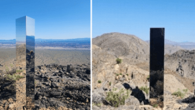 Mysterious Monolith Appears on Colorado Dairy Farm Mysterious Monolith Appears on Colorado Dairy Farm